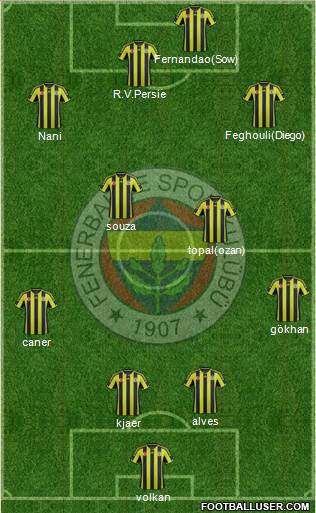 Fenerbahçe SK Formation 2015