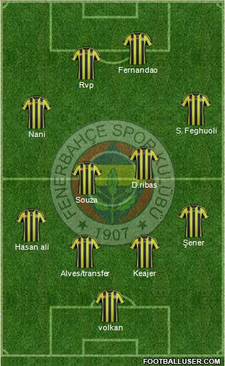 Fenerbahçe SK Formation 2015