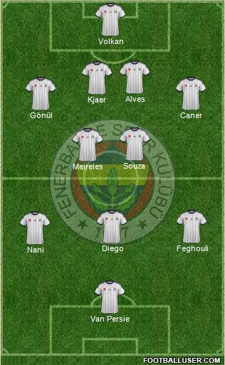 Fenerbahçe SK Formation 2015