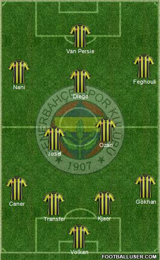 Fenerbahçe SK Formation 2015