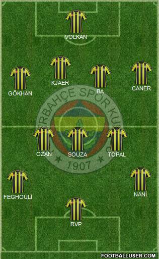 Fenerbahçe SK Formation 2015