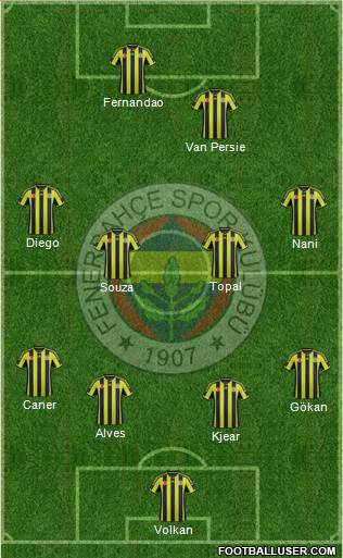 Fenerbahçe SK Formation 2015