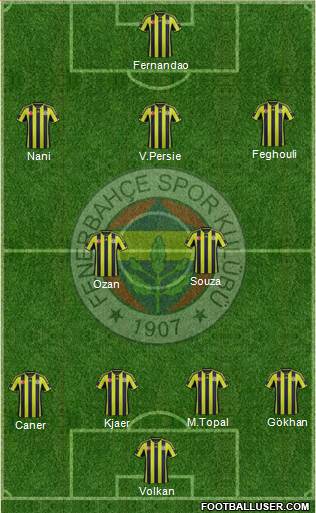 Fenerbahçe SK Formation 2015