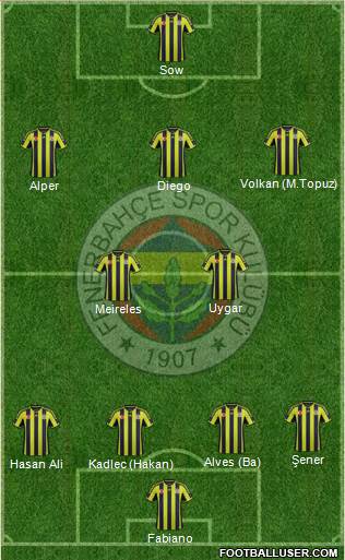 Fenerbahçe SK Formation 2015