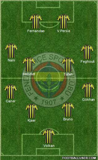 Fenerbahçe SK Formation 2015