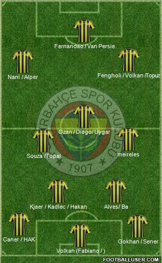 Fenerbahçe SK Formation 2015