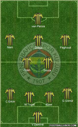 Fenerbahçe SK Formation 2015