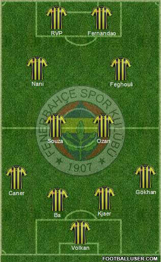 Fenerbahçe SK Formation 2015
