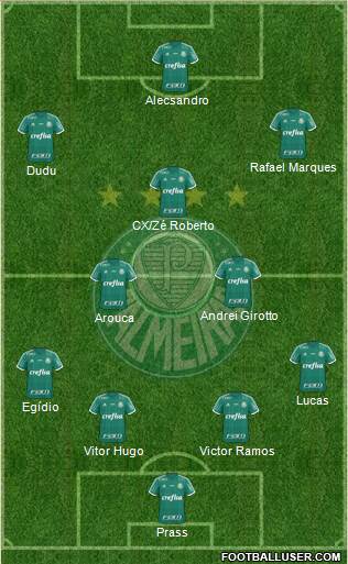 SE Palmeiras Formation 2015