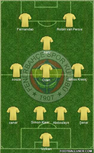 Fenerbahçe SK Formation 2015