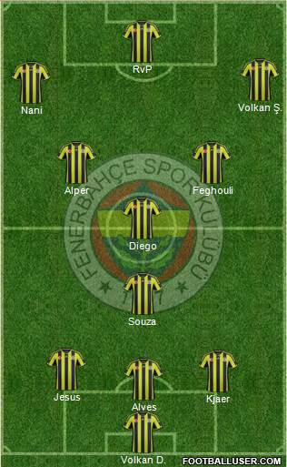 Fenerbahçe SK Formation 2015