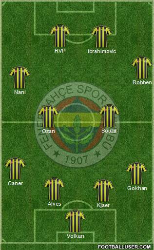 Fenerbahçe SK Formation 2015
