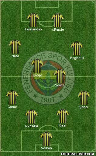 Fenerbahçe SK Formation 2015