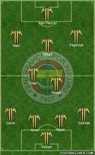 Fenerbahçe SK Formation 2015