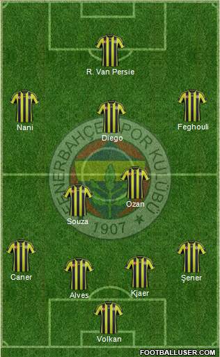 Fenerbahçe SK Formation 2015