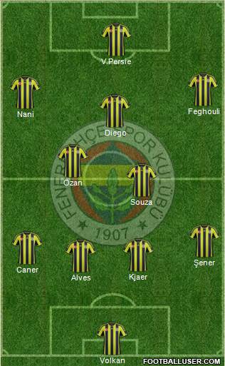 Fenerbahçe SK Formation 2015