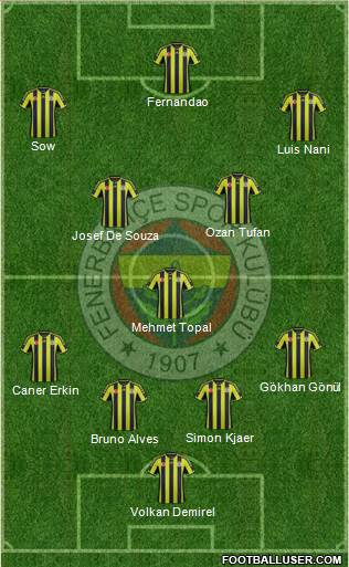 Fenerbahçe SK Formation 2015