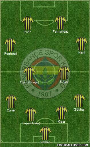 Fenerbahçe SK Formation 2015