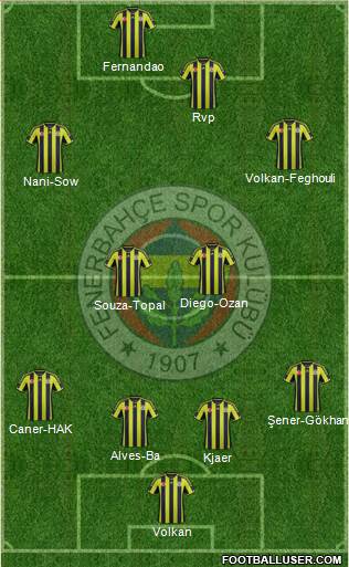 Fenerbahçe SK Formation 2015