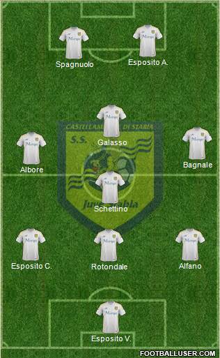 Juve Stabia Formation 2015