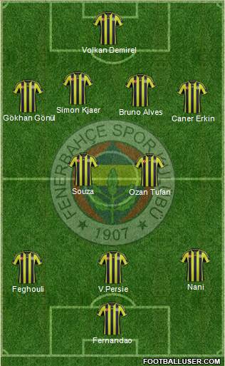 Fenerbahçe SK Formation 2015