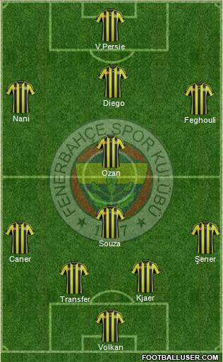 Fenerbahçe SK Formation 2015