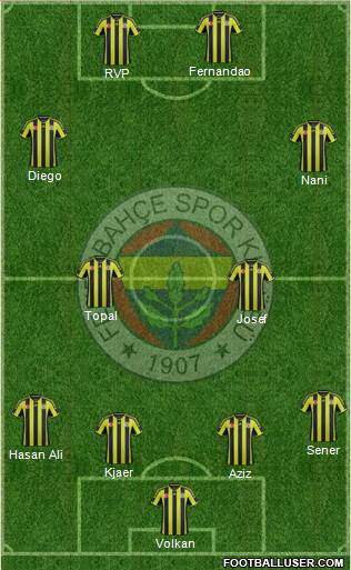 Fenerbahçe SK Formation 2015