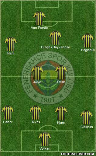Fenerbahçe SK Formation 2015