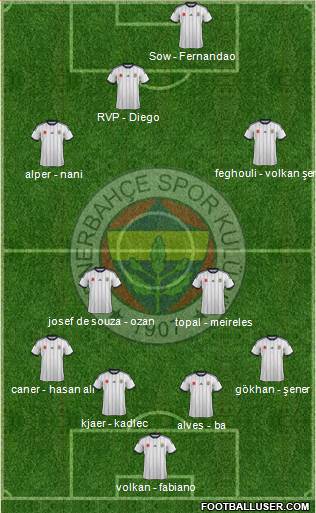 Fenerbahçe SK Formation 2015