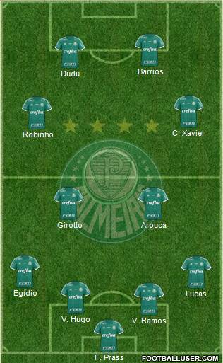 SE Palmeiras Formation 2015