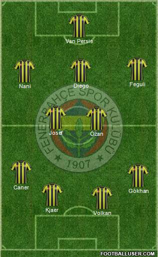 Fenerbahçe SK Formation 2015