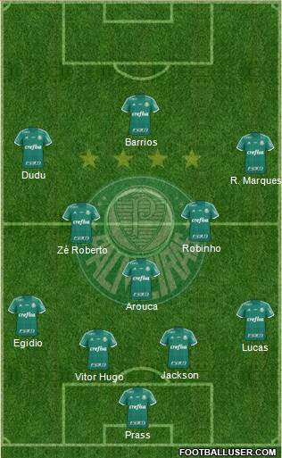 SE Palmeiras Formation 2015