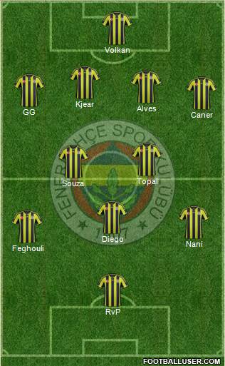 Fenerbahçe SK Formation 2015