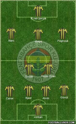 Fenerbahçe SK Formation 2015