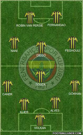 Fenerbahçe SK Formation 2015