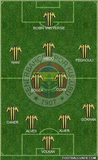 Fenerbahçe SK Formation 2015