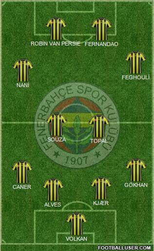 Fenerbahçe SK Formation 2015