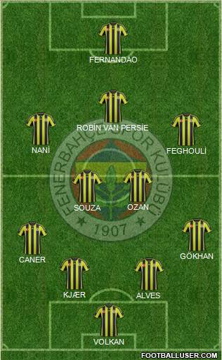 Fenerbahçe SK Formation 2015