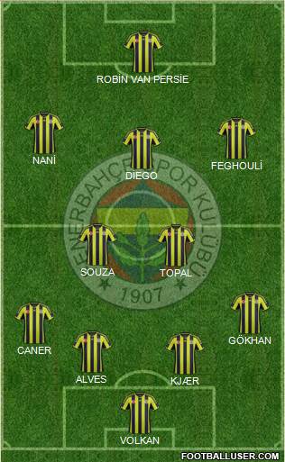 Fenerbahçe SK Formation 2015