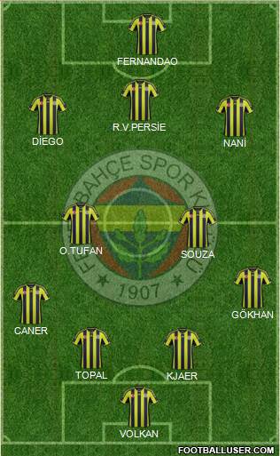 Fenerbahçe SK Formation 2015