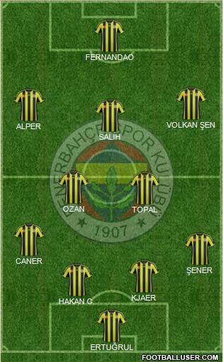 Fenerbahçe SK Formation 2015