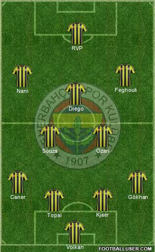 Fenerbahçe SK Formation 2015