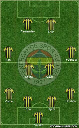 Fenerbahçe SK Formation 2015