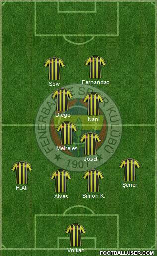 Fenerbahçe SK Formation 2015