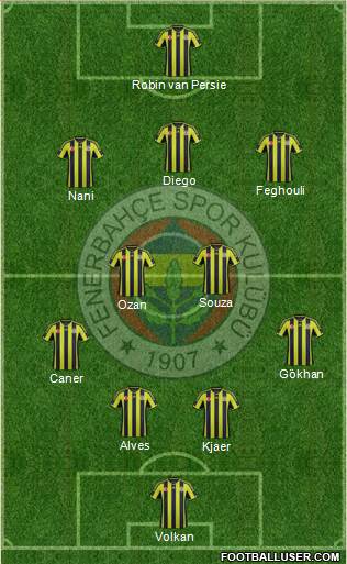 Fenerbahçe SK Formation 2015