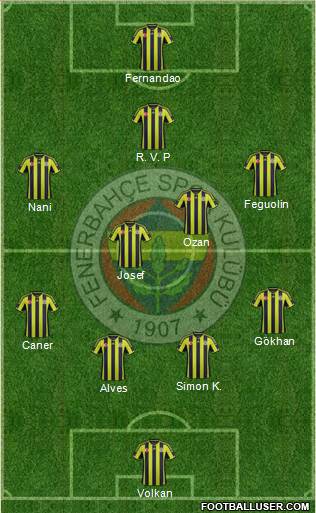 Fenerbahçe SK Formation 2015