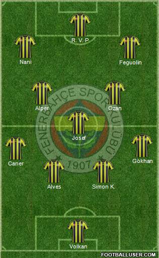 Fenerbahçe SK Formation 2015