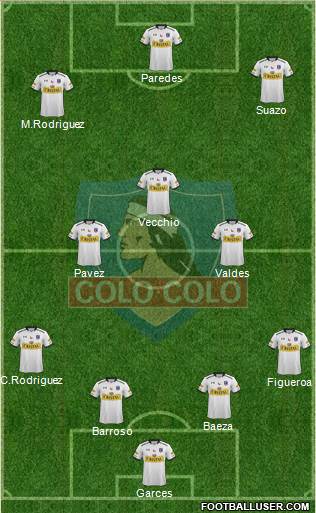 CSD Colo Colo Formation 2015