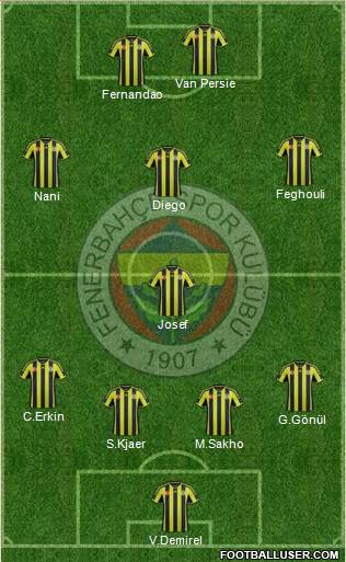 Fenerbahçe SK Formation 2015