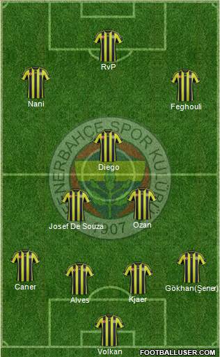 Fenerbahçe SK Formation 2015